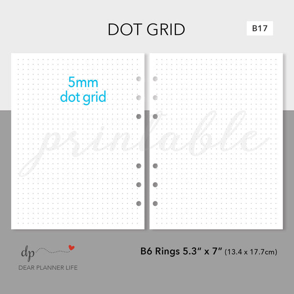 Dots & Square Grid Pages Printable PDF : B17.18