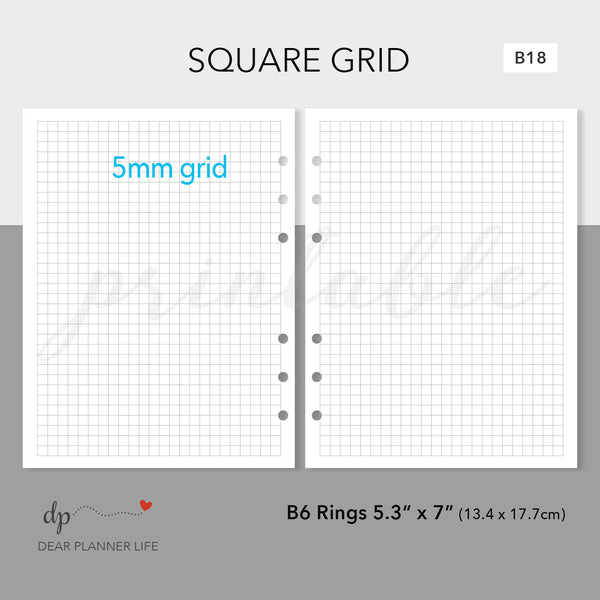 Dots & Square Grid Pages Printable PDF : B17.18